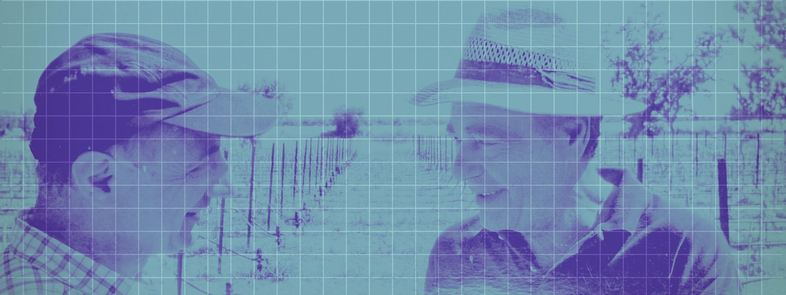 Christos Kokkalis in the grove, speaking with a colleague. The moment that seeded the Crazy Pharmacist rebellion.