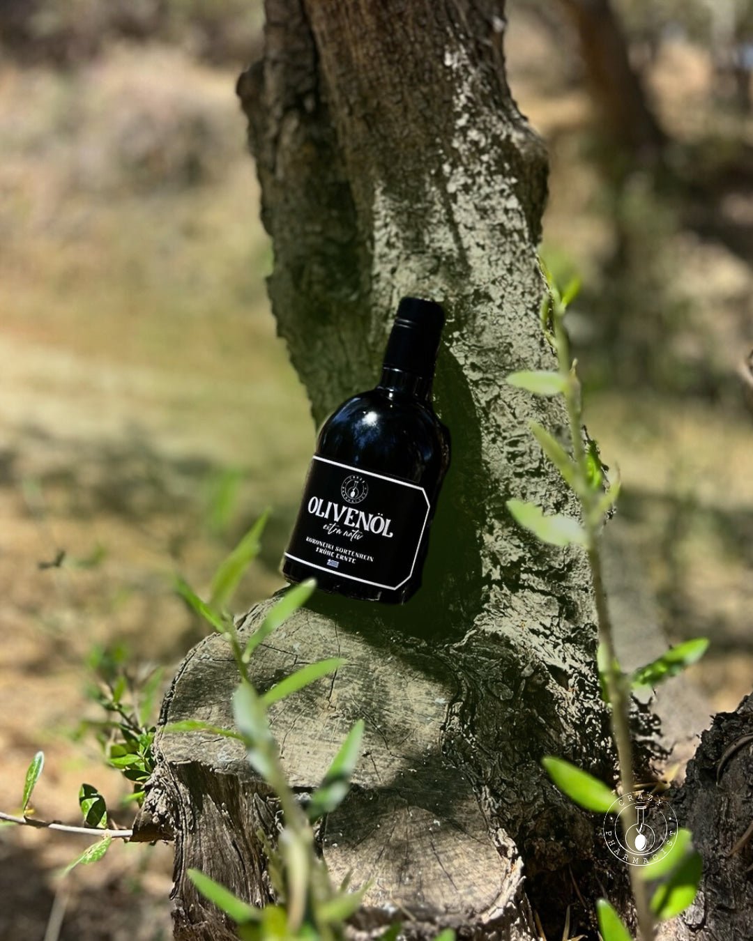 Black Edition – Limited Extra Virgin Olive Oil (500ml) – Premium Olive Oil from Greece by Crazy Pharmacist