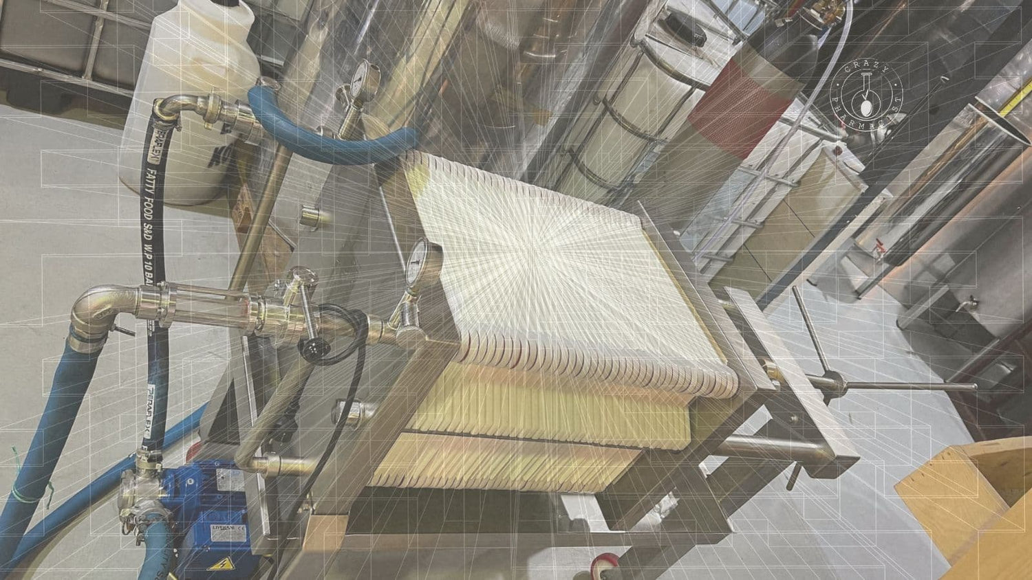 Filtered Olive Oil – Clarity, Not Compromise - Crazy Pharmacist